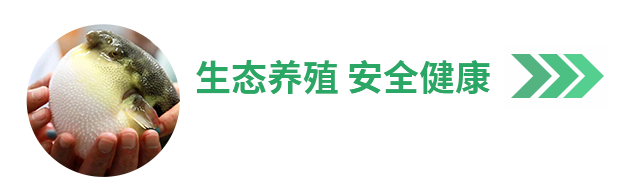 泰州豐匯農(nóng)業(yè)科技有限公司