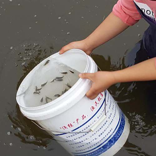 生態(tài)種養(yǎng)