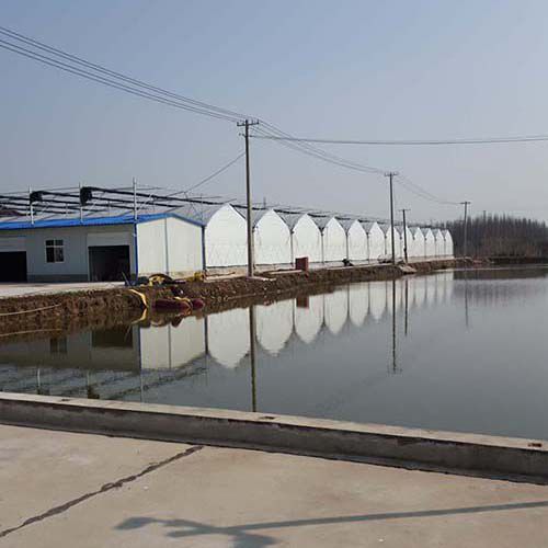 生態(tài)種養(yǎng)