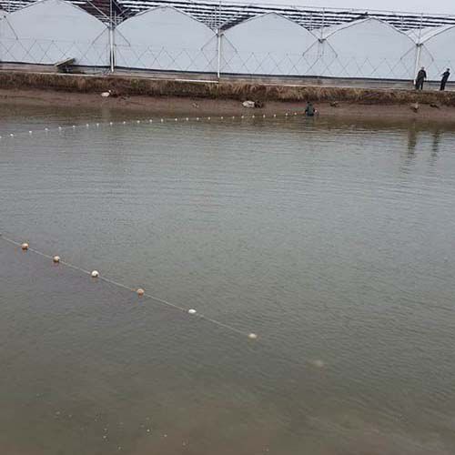 生態(tài)種養(yǎng)