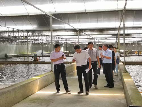 生態(tài)種養(yǎng)