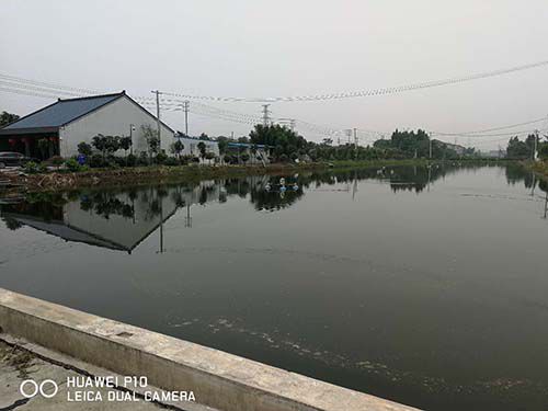 生態(tài)種養(yǎng)