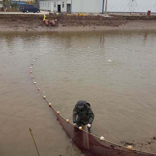 生態(tài)種養(yǎng)