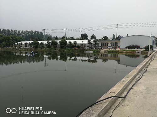 生態(tài)種養(yǎng)