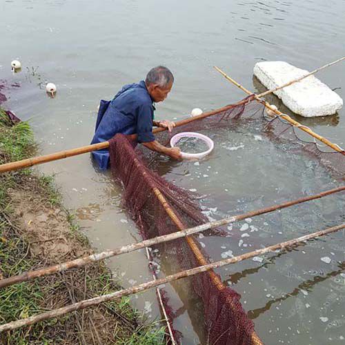 生態(tài)種養(yǎng)
