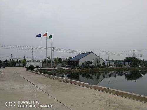 生態(tài)種養(yǎng)