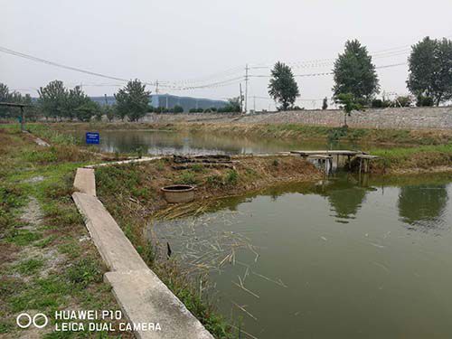 生態(tài)種養(yǎng)