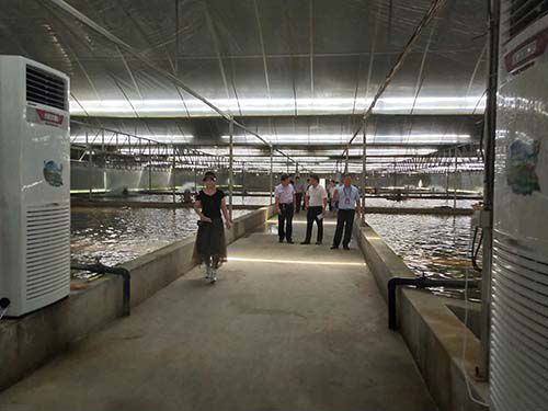 生態(tài)種養(yǎng)