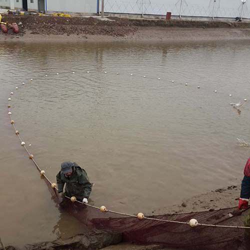 生態(tài)種養(yǎng)