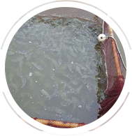 經(jīng)驗(yàn)豐富