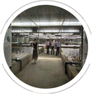 嚴(yán)挑嚴(yán)選